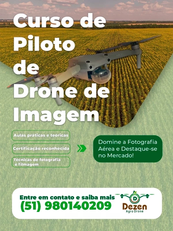 Piloto de Drone de Imagem
